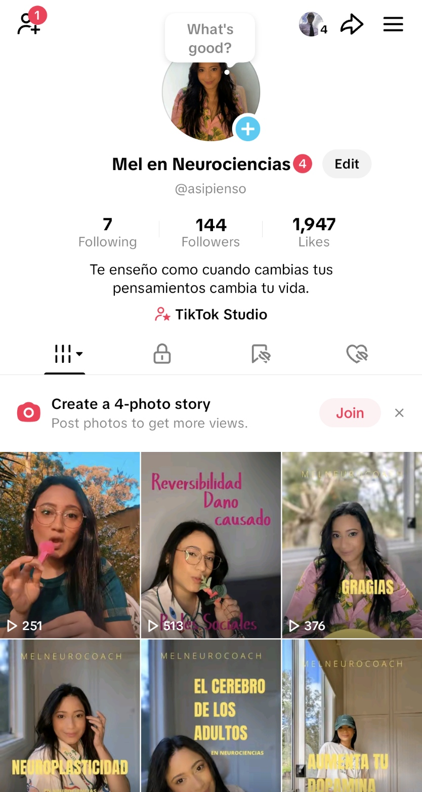 TikTok Profile